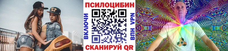 Купить закладки  Унеча  Псилоцибиновые грибы мицелий 